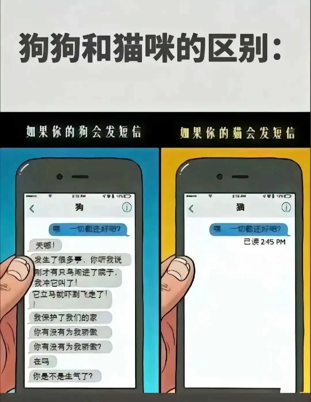 【西檬之家】- 字母圈SP实践指南