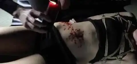 西檬之家-字母圈新手入门指南：专业的BDSM术语与实践规范