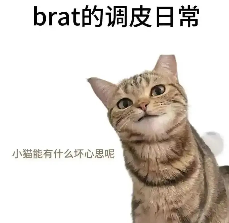 【西檬之家】新手必备：字幕圈BDSM核心术语全解析（2024最新）