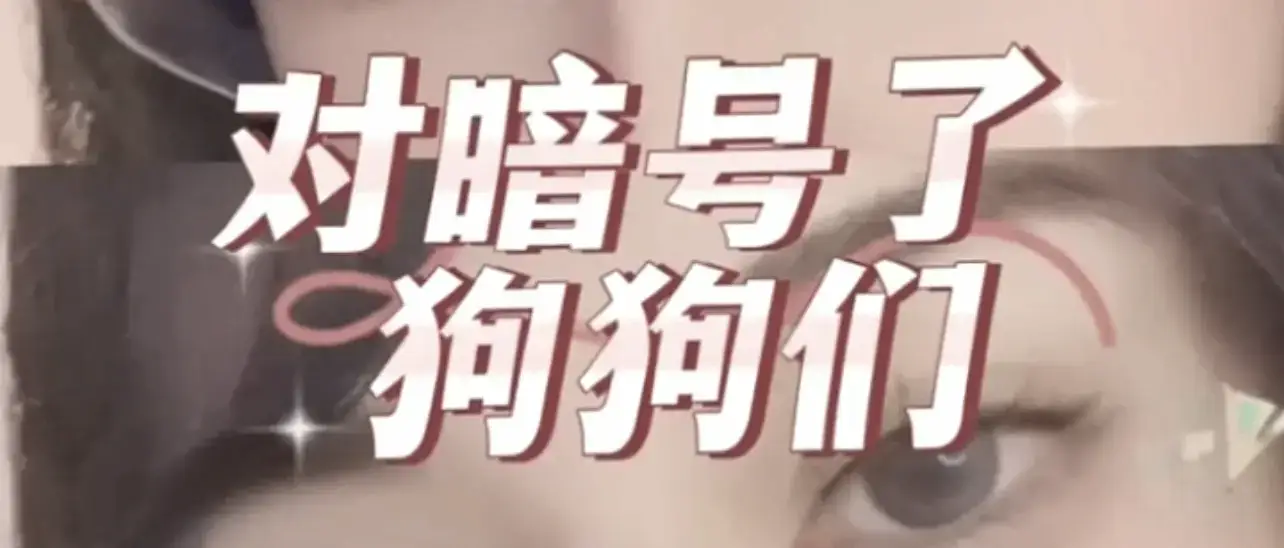 字母圈入圈 - 2023_07_30_17_29_IMG_7099