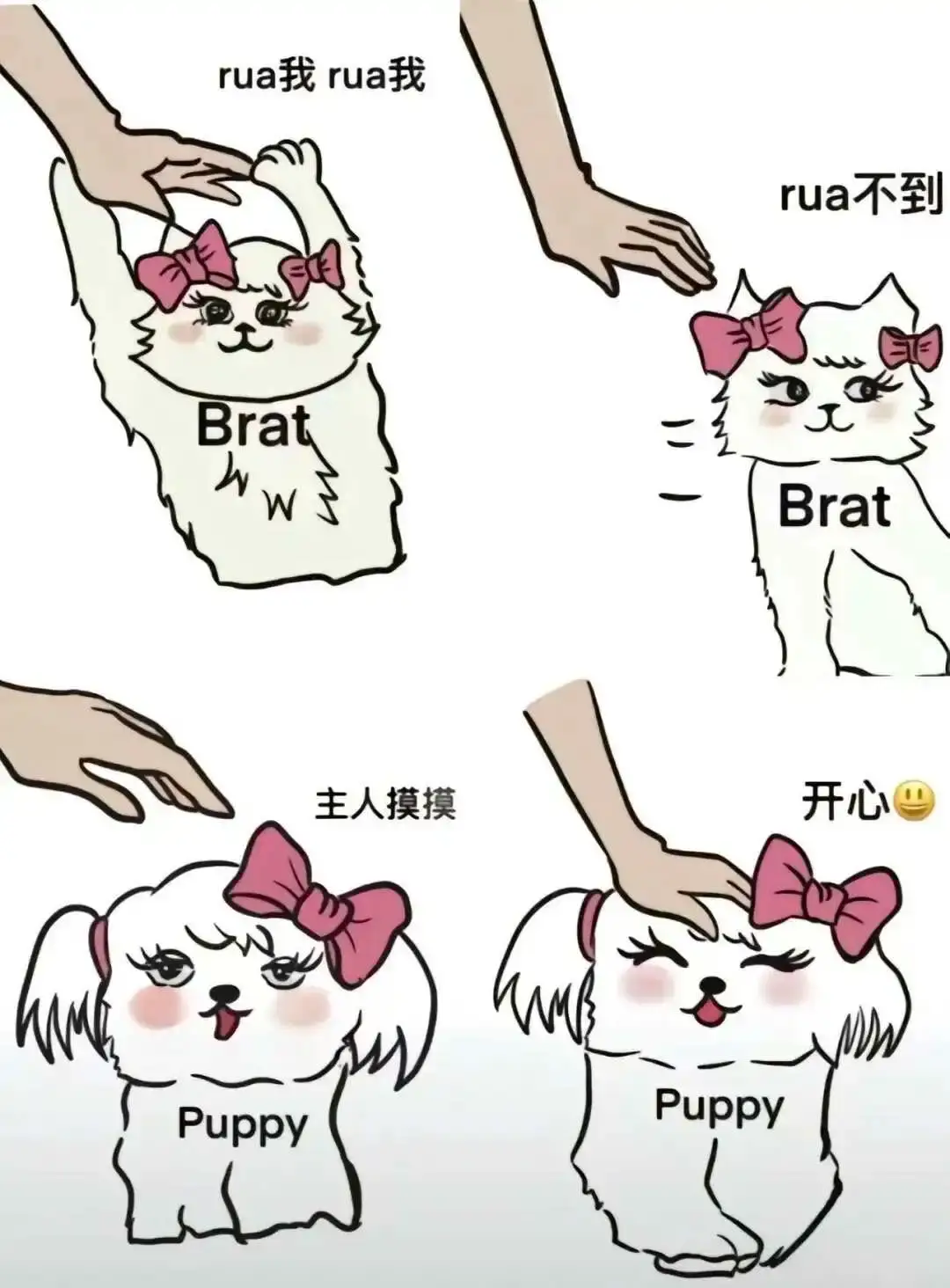 西檬之家-字母圈的S是什么意思？新人全面指南