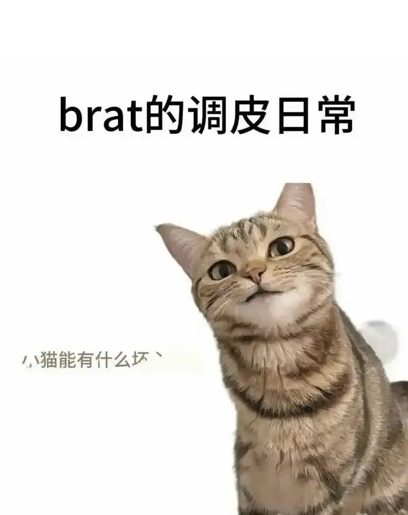 西檬之家-DT是什么？Dirty Talk名词解释与实操指南
