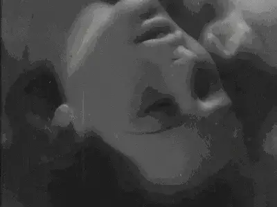 西檬之家-K8猫系是什么？BDSM字母圈中的猫奴角色全解析