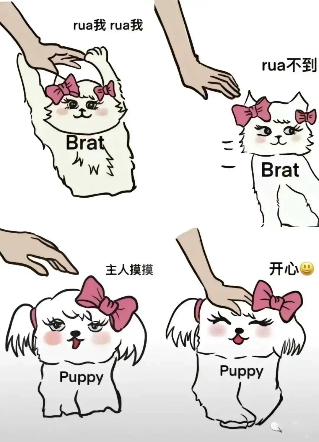 西檬之家-【Brat属性】字母圈新人入圈全解析与心理建设