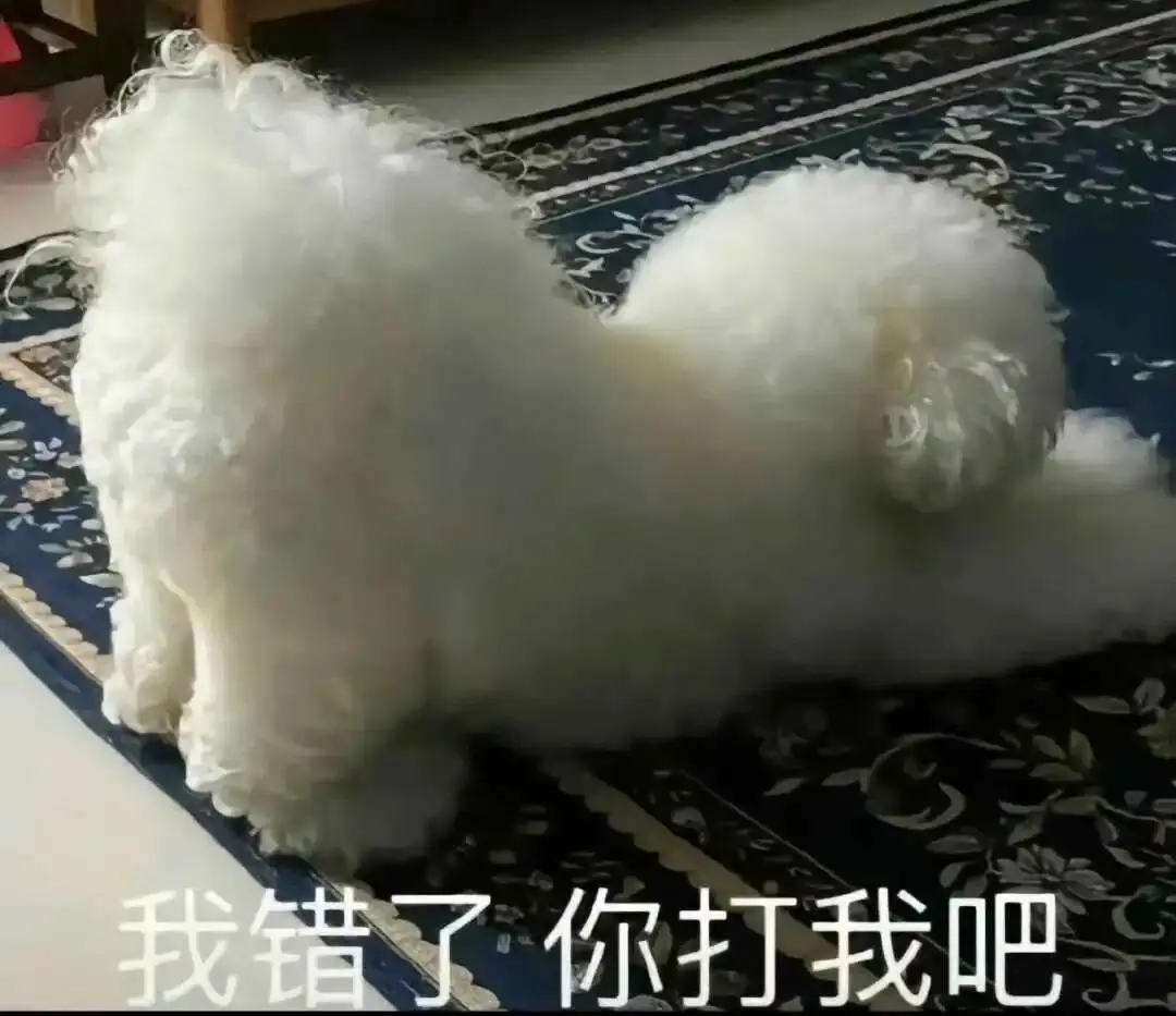 字母圈的aftercare - 2023_12_05_21_26_IMG_9543