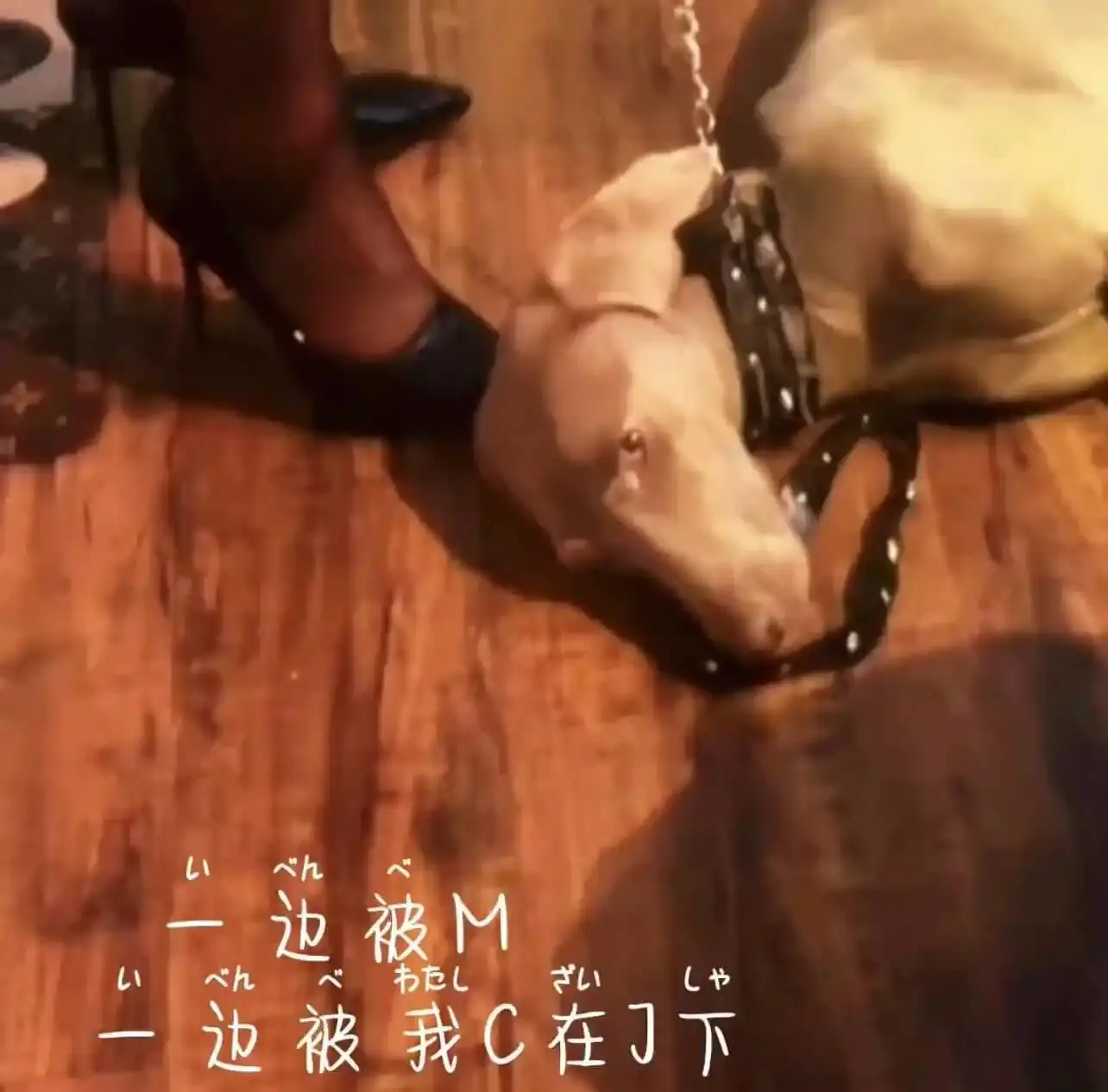 字母圈 - 2023_11_07_20_50_IMG_8911