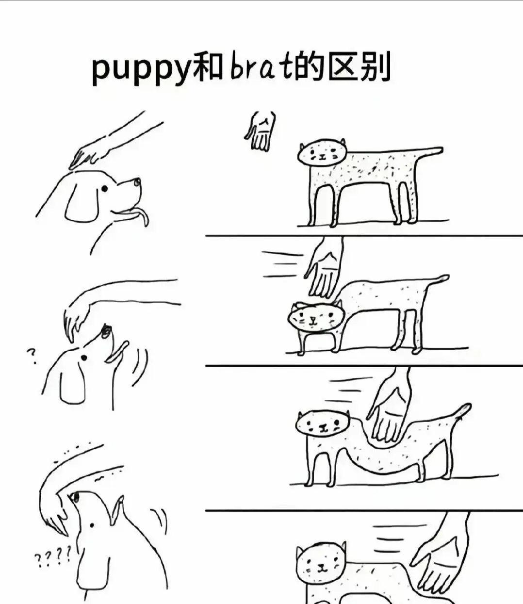 西檬之家-DT是什么？字母圈新人入圈